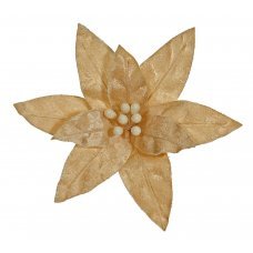 Χριστουγεννιάτικο Λουλούδι Αλεξανδρινό Ζαχαρί (30cm)